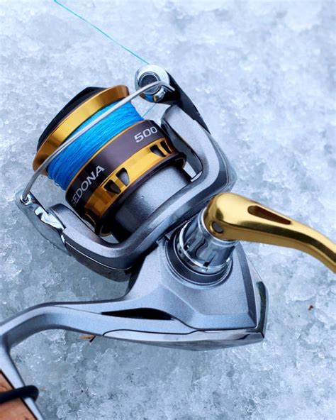 shimano north america fishing.